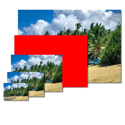 poster  cm glossy  matte finish