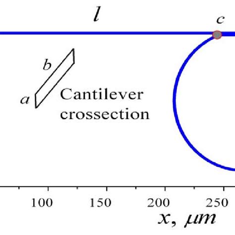 setup   loaded cantilever  scientific diagram