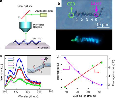 Schematic Representation Of Photoluminescence Experiments Where L1 Is Download Scientific