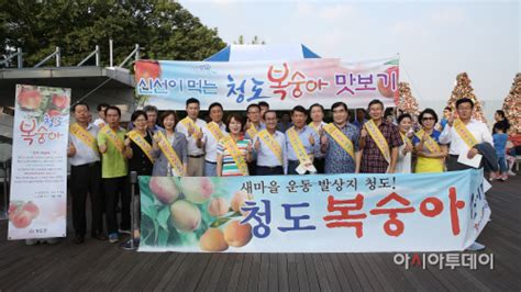 청도군 서울서 청도복숭아 맛보기 행사 아시아투데이