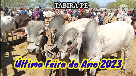 Feira Do Gado De Tabira PE Segunda Parte Dia 27 12 2023 YouTube