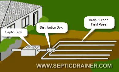 DIY Septic Drain Field Repair: How to Locate Your Septic System