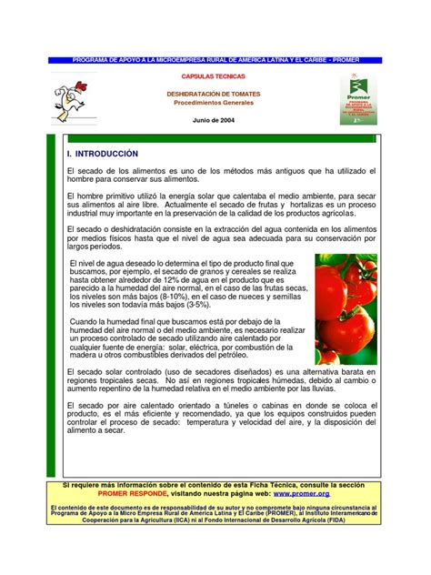 Ejemplos De Conservacion De Alimentos Por Deshidratacion Opciones De