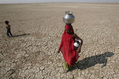 On Brinks Of Water Crisis Four Districts Of Rajasthan Have Only 21 Days Of Water Left Newsbharati