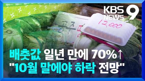 배춧값 폭등에 배추김치도 못 먹을 판올해 김장 물가는 9시뉴스 Kbs 20220929 Youtube