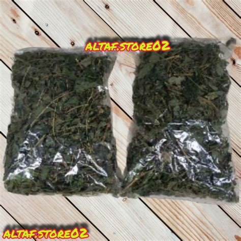 Jual Teh Jelatang Segar Gr Daun Jelatang Segar Atau Gatalan Kering