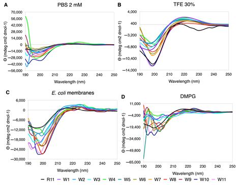 Membranes Free Full Text Arginine Homopeptide Of Residues As A