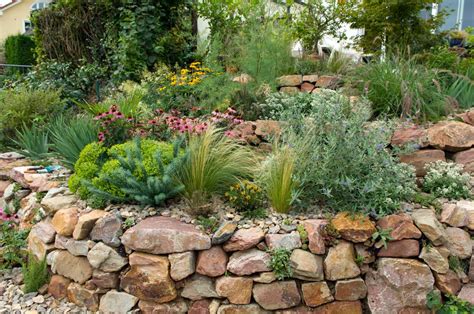 7 idées éblouissantes pour transformer votre jardin rocailleux en un