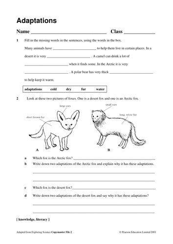 Adaptations | Teaching Resources