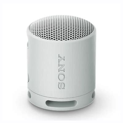 Loa Bluetooth Sony SRS XB100 Extra Bass