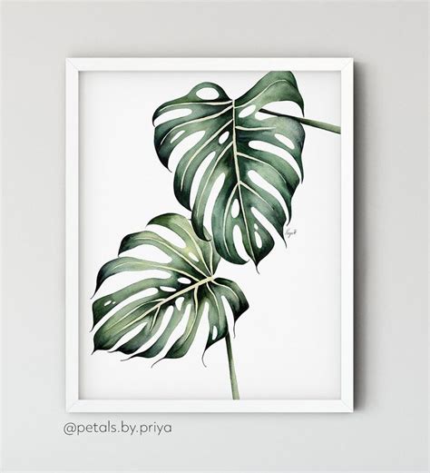 Watercolor Monstera Deliciosa Plant Art Print Watercolor Monstera Tropical Watercolor