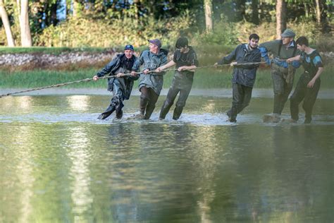 Bruno Fourmond Pcb Poissons De Dombes