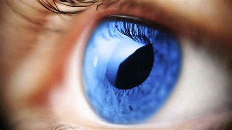 Natural Remedies For Glaucoma — Healthdigezt.com