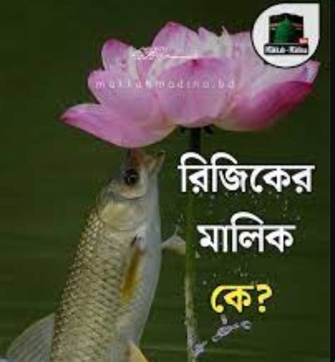 rijiker malik  islamic blog