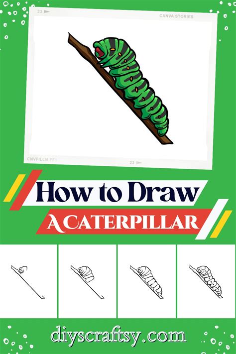 15 Caterpillar Drawing Ideas - How To Draw Caterpillar - DIYsCraftsy