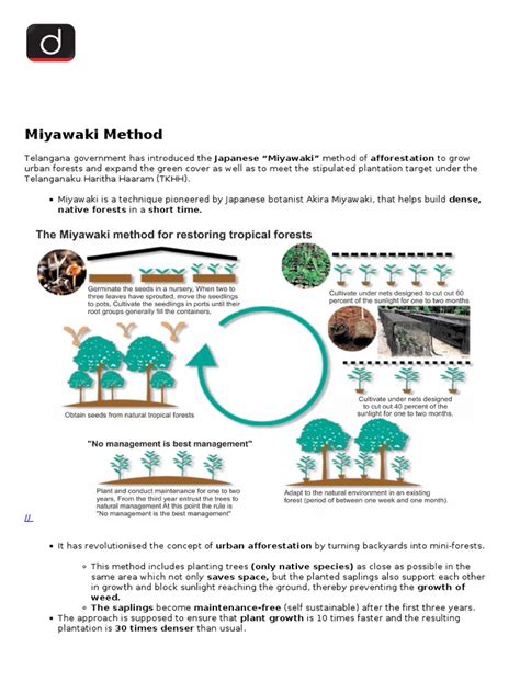 Miyawaki Method Of Afforestation Pdf Forests Trees