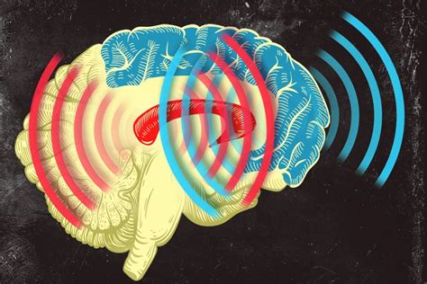 Synchronized brain waves enable rapid learning | MIT News | Massachusetts Institute of Technology