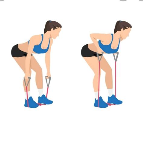 Bent Over Row Bands By Melissa Minaya Exercise How To Skimble