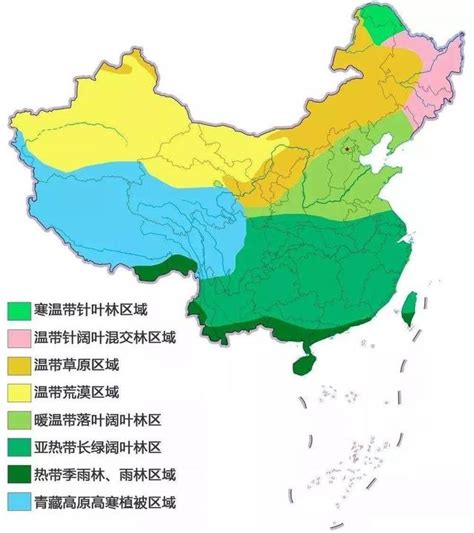 我的祖国之自然地理：地理位置优越，植被类型多样，东北黑土肥沃我国