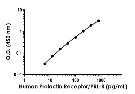 Anti Prolactin Receptor PRL R Antibody EPR25646 174 BSA And Azide