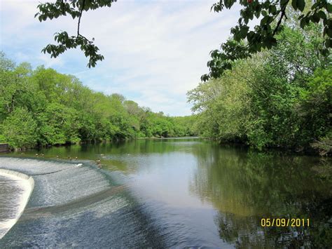 Lowbuck: Neshaminy Creek in Tyler Park