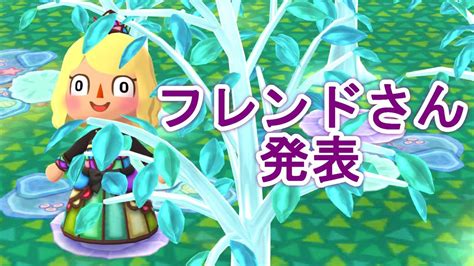 【ポケ森】フレンドさん発表！！！第2回フレンド募集ご応募ありがとうございました 【どうぶつの森ポケットキャンプ】 Youtube