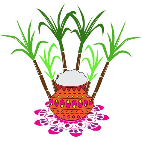 Pongal Pot Vector, Pongal Pot, Pongal, Pogal PNG and Vector with ...