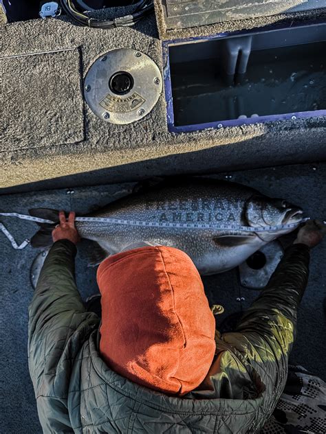 Potential World Record Lake Trout Caught In Colorado First Look