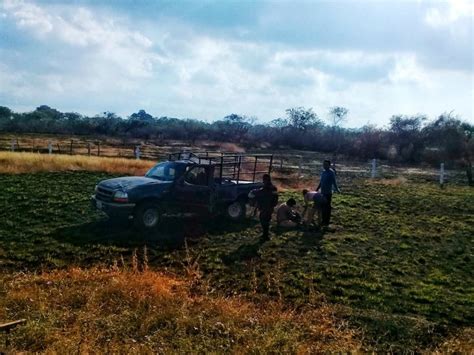 La Jornada Accidente Carretero En Tehuantepec Deja 26 Lesionados