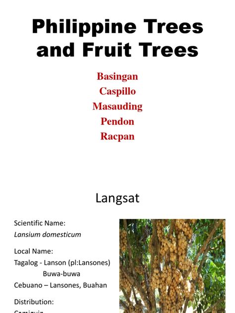 Philippine Trees Names And Pictures