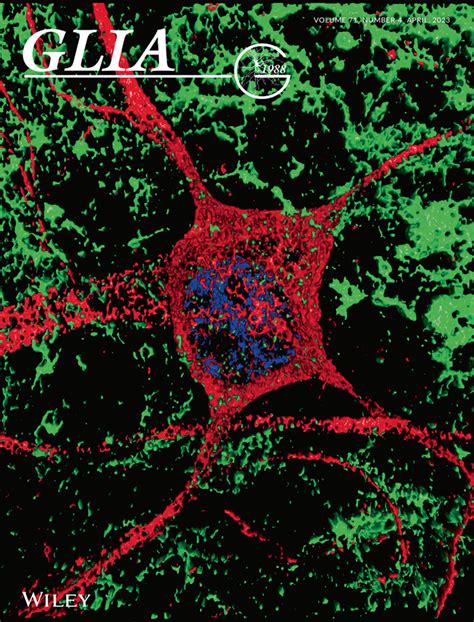 Glia | Neurobiology Journal | Wiley Online Library