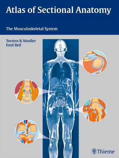 Atlas Of Sectional Anatomy Thieme Webshop