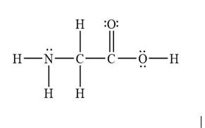 Draw And Explain The Lewis Structure For The Amino Acid Glycine