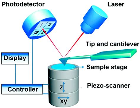 Sensors Free Full Text Progress In The Correlative Atomic Force