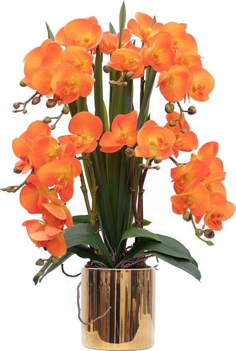 Cxgs Artificial Orchid Flower Plants Real Touch Faux