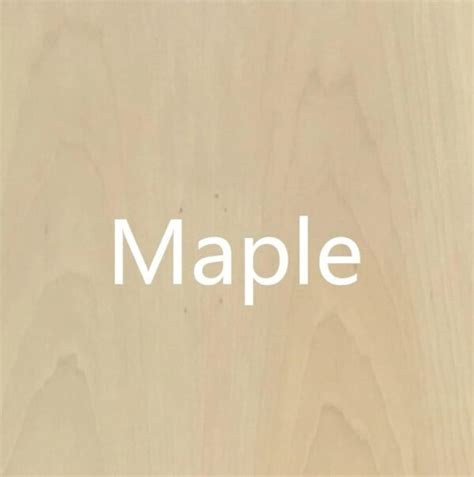 X Maple Veneer Natural Wood Veneer With Commercial Plywood