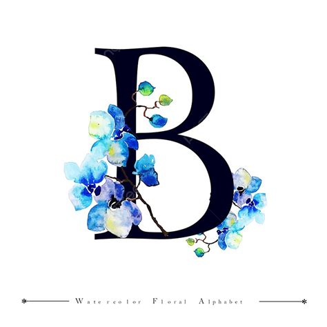 Alphabet B Vector Hd Images B Alphabet Letter Watercolor Floral