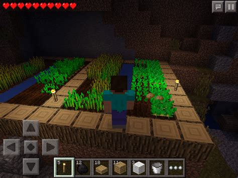 How To Grow Carrot In Minecraft Hutomo