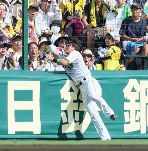 阪神 前川右京が超絶ビッグプレー 左翼フェンスに激突しながらグラブの先っぽで増田の打球をつかむ 甲子園が大歓声阪神タイガースデイリー