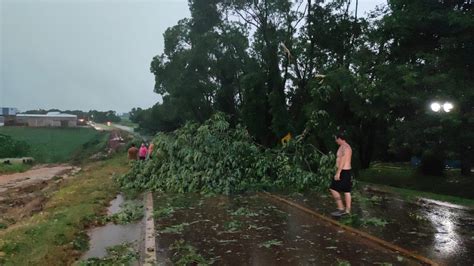 Temporal Causa Transtornos Em Iju Queda De Rvores Bloqueio De Vias