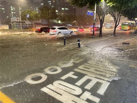 강남 물난리 한 달 대심도터널보다 급한 것들 여기 있다