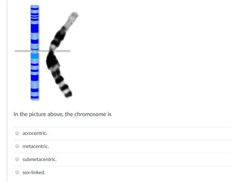 Solved In The Picture Above The Chromosome Is Acrocentric