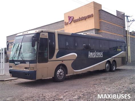 MAXIBUSES AUTOBUSES AMEALCENSES