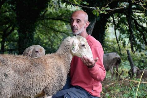 Je suis devenu un croque mort cet éleveur du Puy de Dôme voit ses