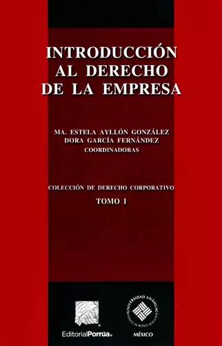 Introducción Al Derecho De La Empresa De Ayllón González María Estela