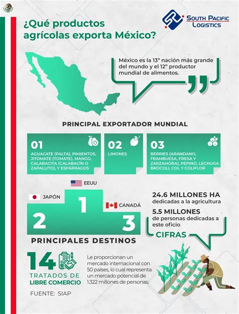 Qué productos agrícolas exporta México