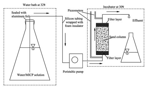 setup  micp  hydraulic tests  scientific diagram