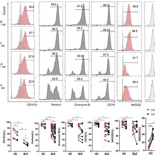 Peripheral CD56dimCD57 NK Cells Exhibited Attenuated Cytotoxicity And