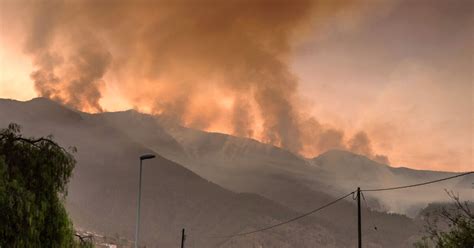 Verheerender Waldbrand W Tet Auf Ferieninsel Teneriffa Salzburg