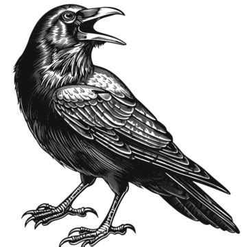 Scary Crow PNG, Vector, PSD, and Clipart With Transparent Background ...